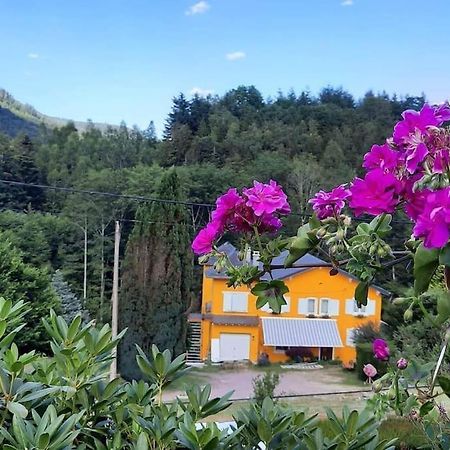 Gite Forestier Du Moulin Raon-sur-Plaine المظهر الخارجي الصورة
