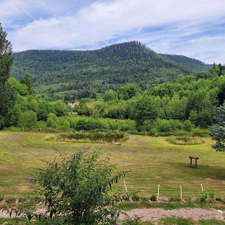 Gite Forestier Du Moulin Raon-sur-Plaine المظهر الخارجي الصورة