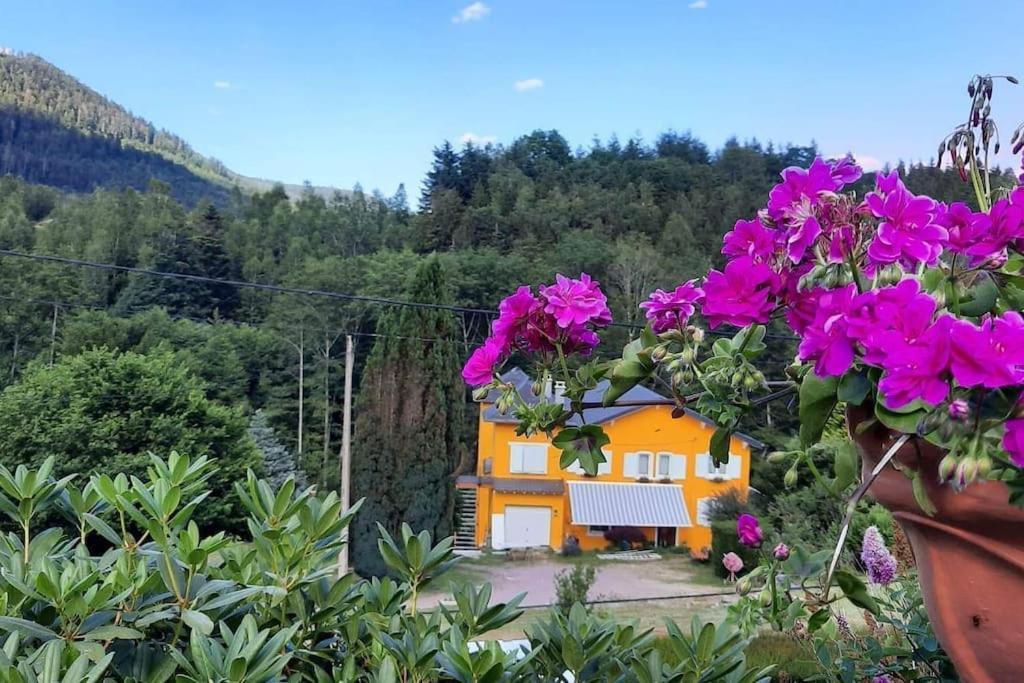 Gite Forestier Du Moulin Raon-sur-Plaine المظهر الخارجي الصورة