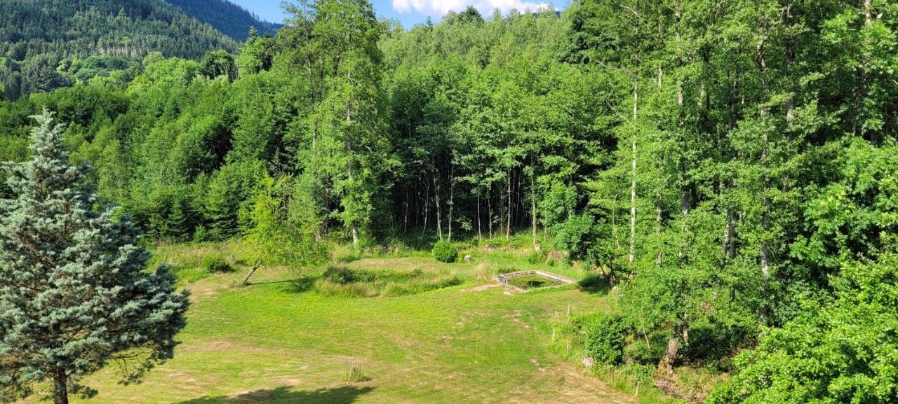 Gite Forestier Du Moulin Raon-sur-Plaine المظهر الخارجي الصورة
