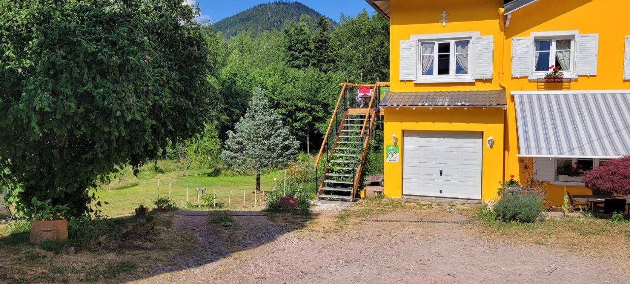 Gite Forestier Du Moulin Raon-sur-Plaine المظهر الخارجي الصورة