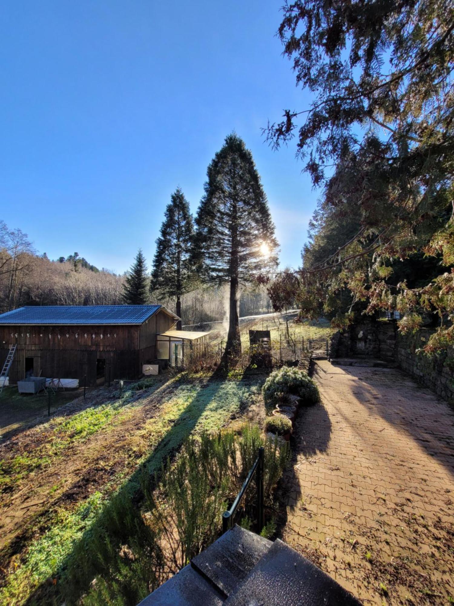 Gite Forestier Du Moulin Raon-sur-Plaine المظهر الخارجي الصورة