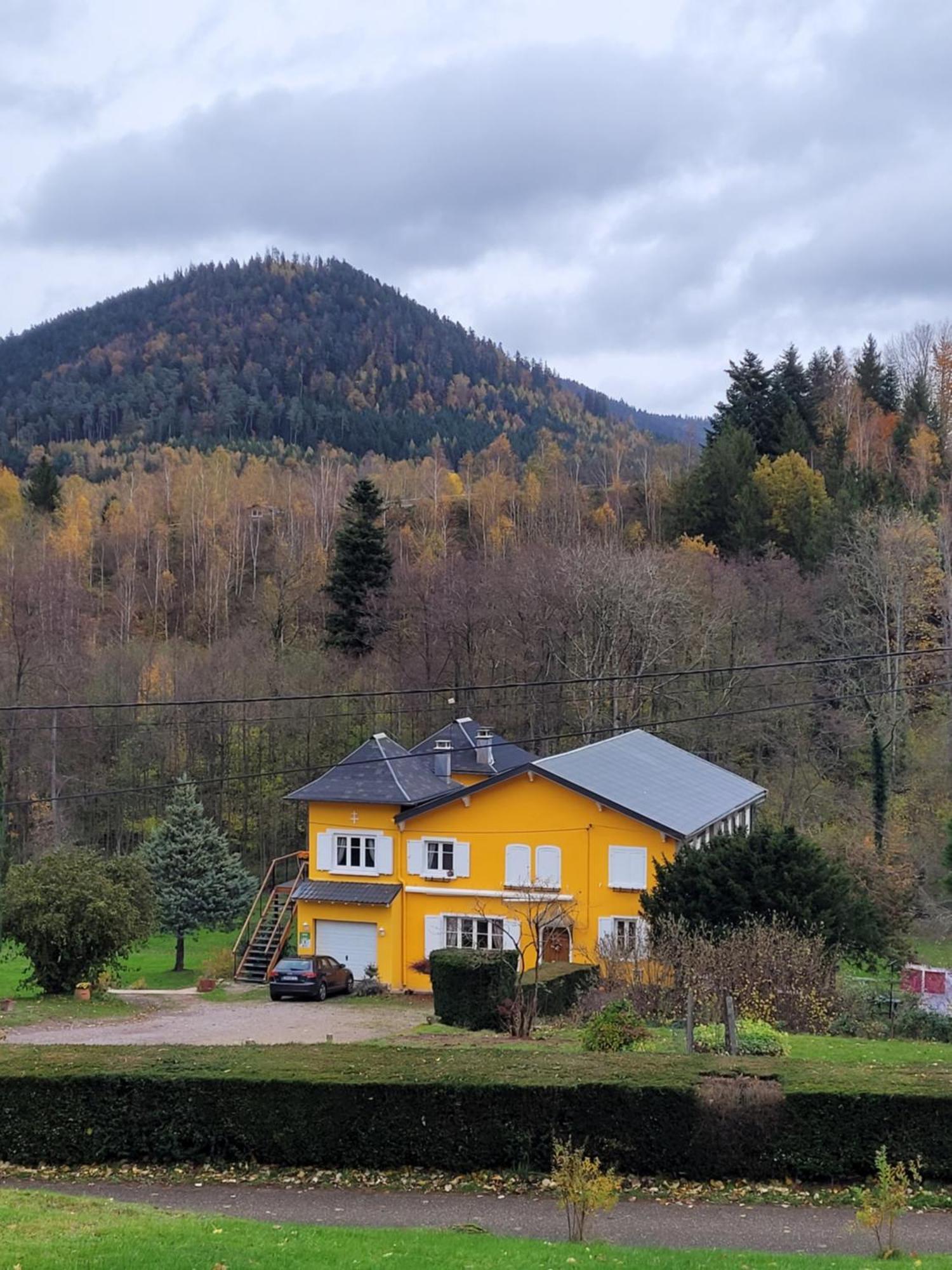 Gite Forestier Du Moulin Raon-sur-Plaine المظهر الخارجي الصورة