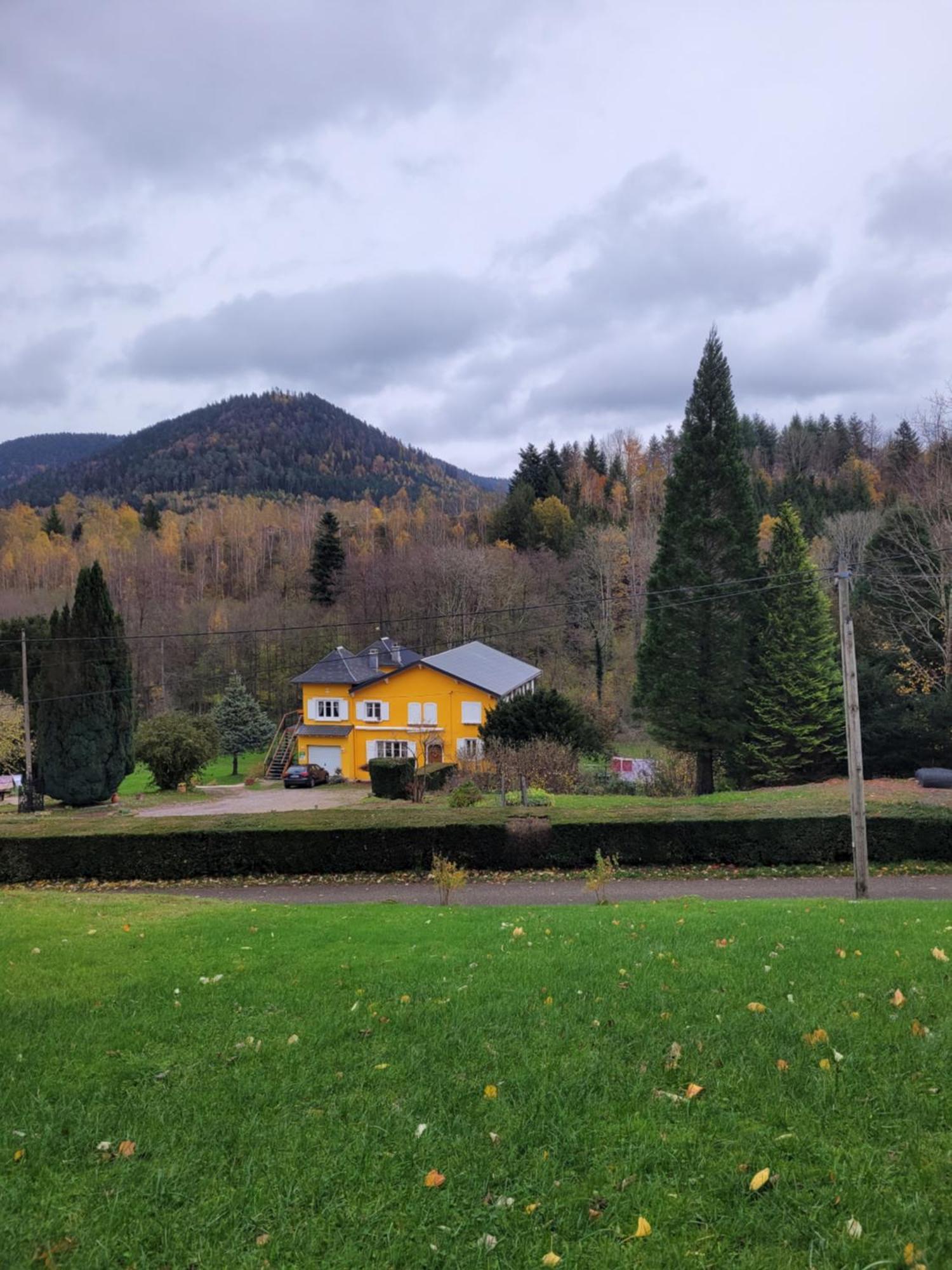 Gite Forestier Du Moulin Raon-sur-Plaine المظهر الخارجي الصورة