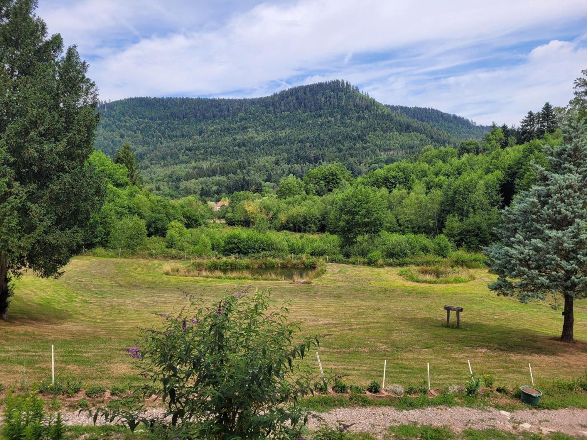 Gite Forestier Du Moulin Raon-sur-Plaine المظهر الخارجي الصورة