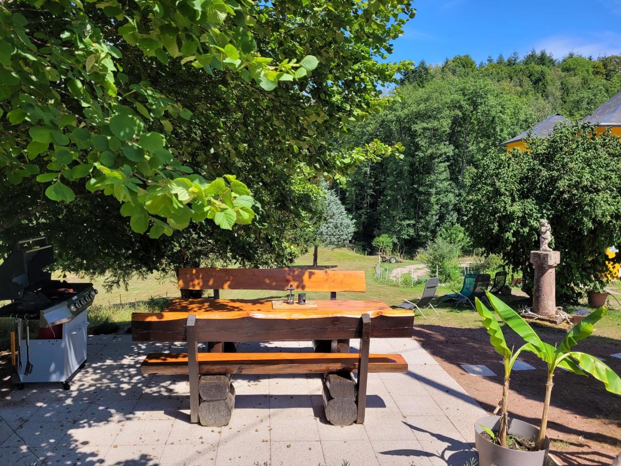 Gite Forestier Du Moulin Raon-sur-Plaine المظهر الخارجي الصورة