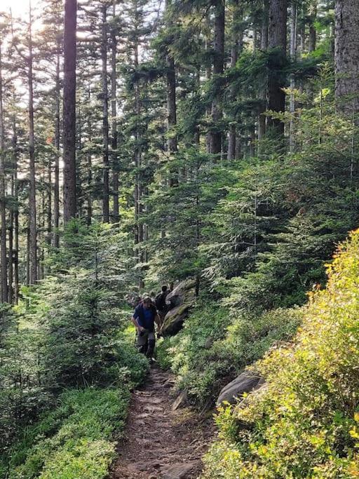 Gite Forestier Du Moulin Raon-sur-Plaine المظهر الخارجي الصورة