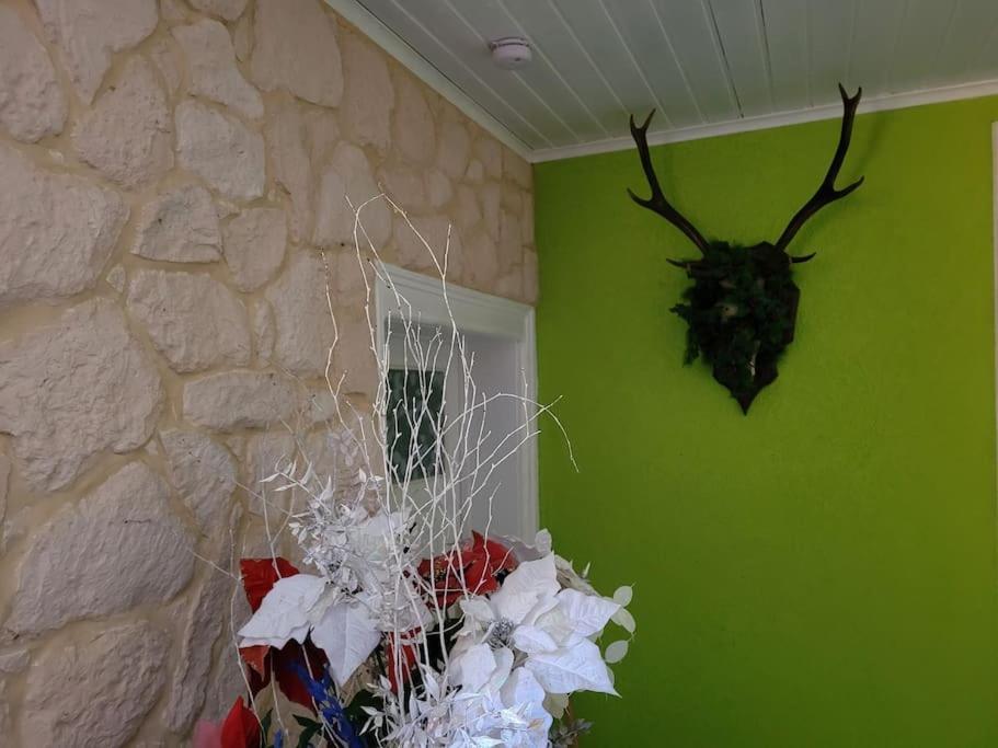 Gite Forestier Du Moulin Raon-sur-Plaine المظهر الخارجي الصورة