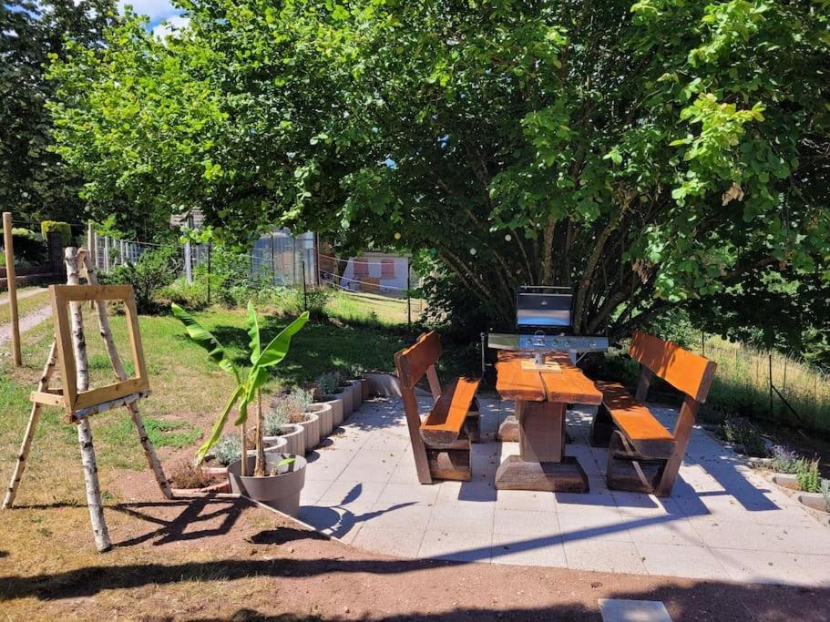 Gite Forestier Du Moulin Raon-sur-Plaine المظهر الخارجي الصورة