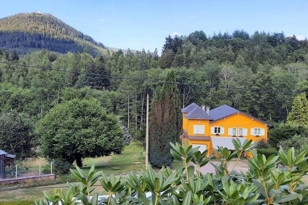 Gite Forestier Du Moulin Raon-sur-Plaine المظهر الخارجي الصورة