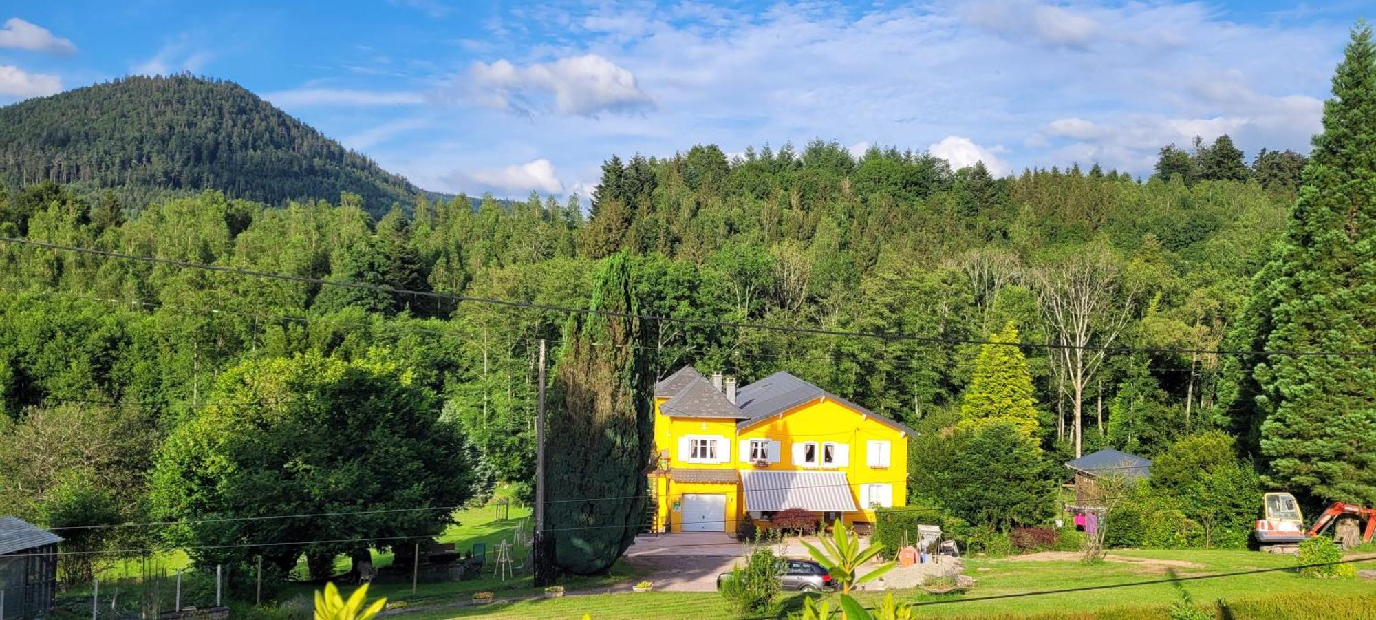 Gite Forestier Du Moulin Raon-sur-Plaine المظهر الخارجي الصورة