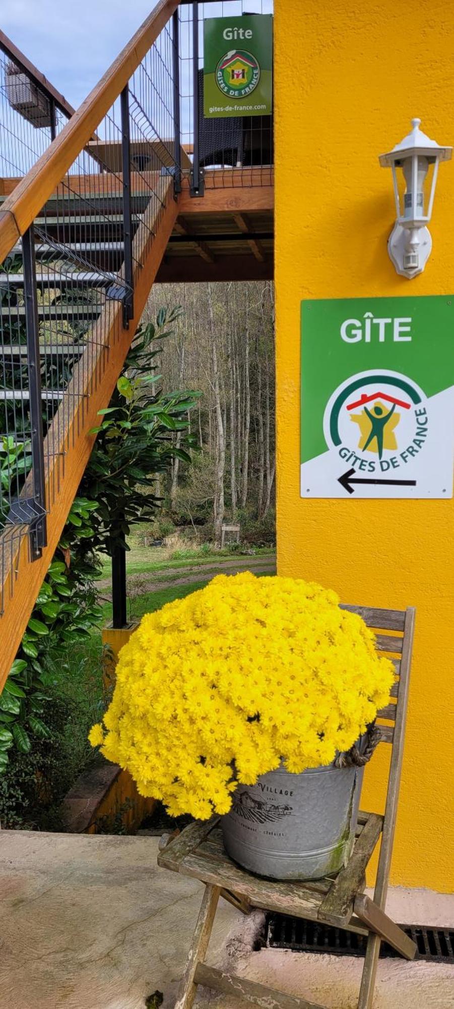 Gite Forestier Du Moulin Raon-sur-Plaine المظهر الخارجي الصورة