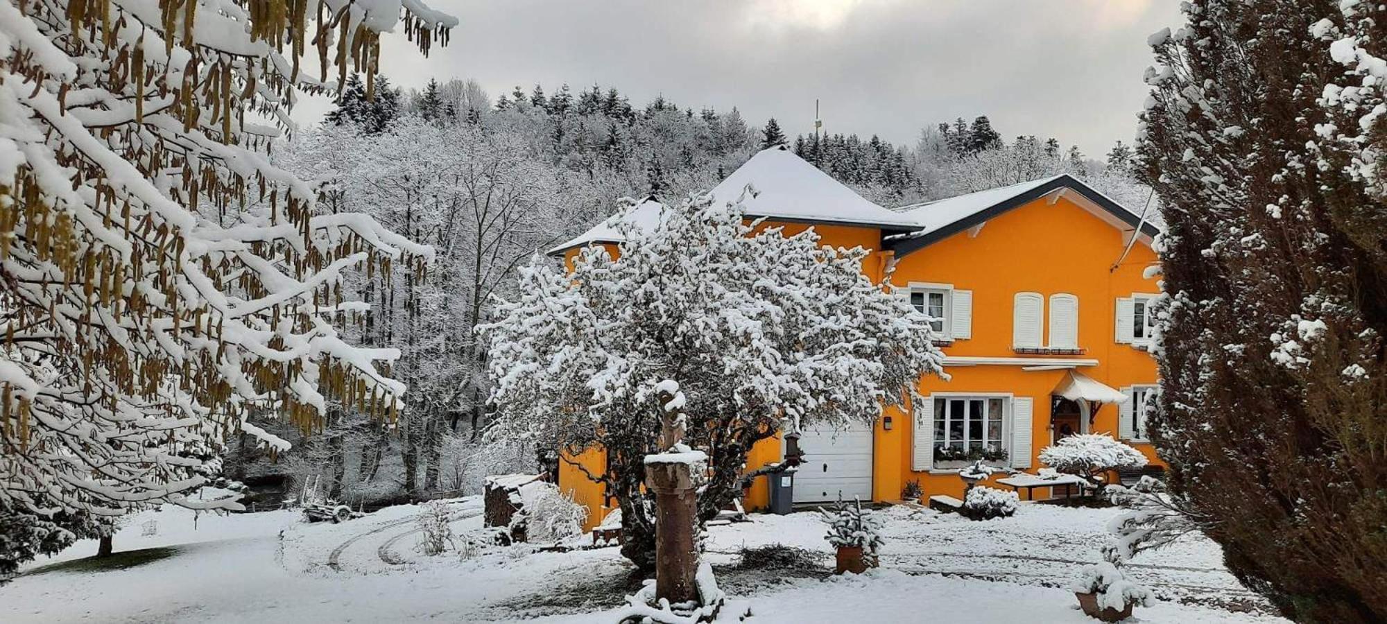 Gite Forestier Du Moulin Raon-sur-Plaine المظهر الخارجي الصورة