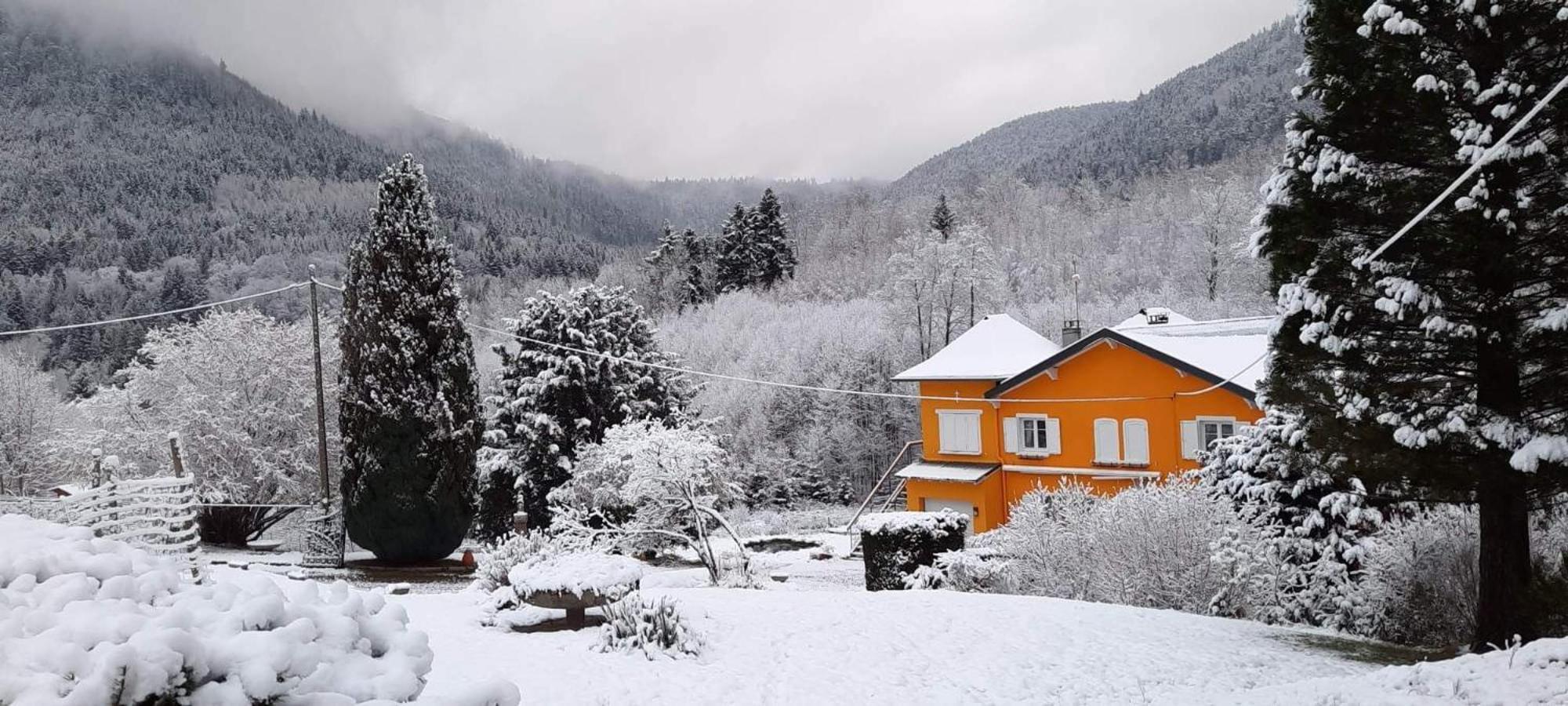 Gite Forestier Du Moulin Raon-sur-Plaine المظهر الخارجي الصورة